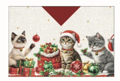 Weihnachtsset Amerikanische + Chatul-Serviette Tellini S.R.L. Großhandelskleidung